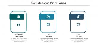 Self managed work teams ppt powerpoint presentation infographics guide cpb
