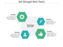 Self managed work teams ppt powerpoint presentation model example cpb