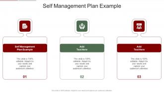 Self Management Plan Example In Powerpoint And Google Slides Cpb