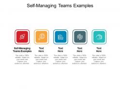 Self managing teams examples ppt powerpoint presentation infographic template objects cpb