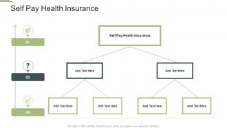 Self Pay Health Insurance In Powerpoint And Google Slides Cpb