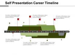 Self presentation career timeline example of ppt