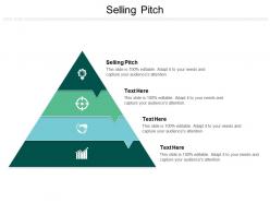 Selling pitch ppt powerpoint presentation model elements cpb