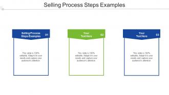 Selling Process Steps Examples Ppt Powerpoint Presentation Model Inspiration Cpb