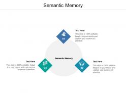 Semantic memory ppt powerpoint presentation portfolio design ideas cpb