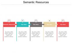 Semantic resources ppt powerpoint presentation file slide portrait cpb