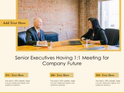 Senior executives having 1 1 meeting for company future