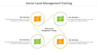 Senior level management training ppt powerpoint presentation outline demonstration cpb