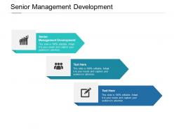 Senior management development ppt powerpoint presentation infographic cpb