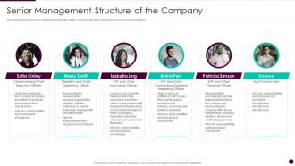 Senior management structure of the company corporate governance guidelines structure company