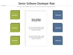 Senior software developer rate ppt powerpoint presentation layouts grid cpb