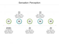 Sensation perception ppt powerpoint presentation summary samples cpb