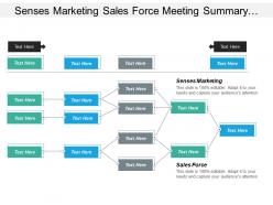Senses marketing sales force meeting summary agile applications cpb