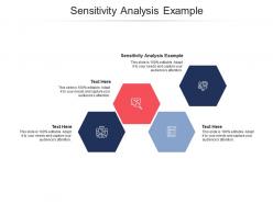 Sensitivity analysis example ppt powerpoint presentation diagrams cpb