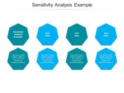 Sensitivity analysis example ppt powerpoint presentation professional format ideas cpb