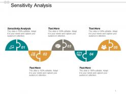 Sensitivity analysis ppt powerpoint presentation icon graphic images cpb