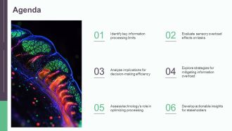 Sensory Bottleneck Info Processing Limits PPT Information AT Ideas Professionally