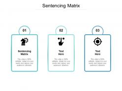 Sentencing matrix ppt powerpoint presentation inspiration vector cpb
