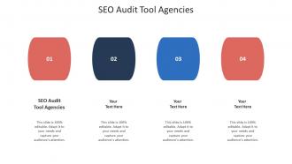 Seo audit tool agencies ppt powerpoint presentation visual aids model cpb