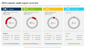 SEO Content Audit Report Overview