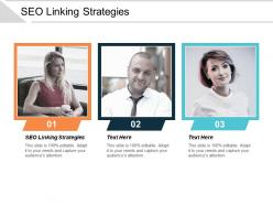 Seo linking strategies ppt powerpoint presentation gallery styles cpb