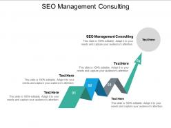 Seo management consulting ppt powerpoint presentation icon pictures cpb