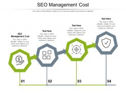 Seo management cost ppt powerpoint presentation show gridlines cpb