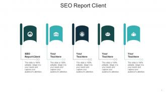 Seo report client ppt powerpoint presentation show guide cpb
