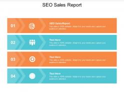 Seo sales report ppt powerpoint presentation slides format cpb