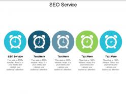 Seo service ppt powerpoint presentation infographic template show cpb