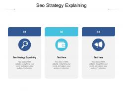 Seo strategy explaining ppt powerpoint presentation infographics model cpb