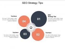 Seo strategy tips ppt powerpoint presentation gallery show cpb
