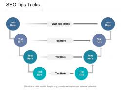 Seo tips tricks ppt powerpoint presentation icon outfit cpb