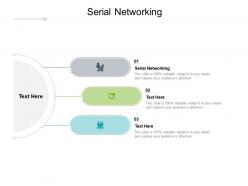Serial networking ppt powerpoint presentation visual aids example 2015 cpb