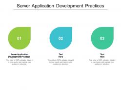 Server application development practices ppt powerpoint presentation portfolio graphics example cpb