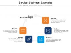 Service business examples ppt powerpoint presentation model example file cpb