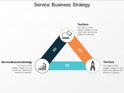 Service business strategy ppt powerpoint presentation gallery visual aids cpb