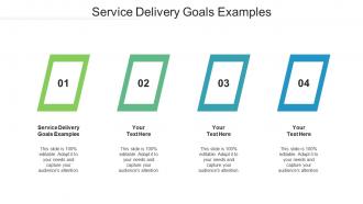 Service delivery goals examples ppt powerpoint presentation file files cpb