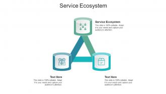 Service ecosystem ppt powerpoint presentation infographic template introduction cpb