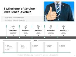 Service excellence achieving customer information technology business focus
