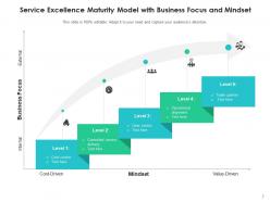 Service excellence achieving customer information technology business focus