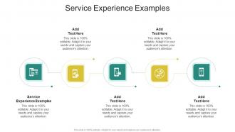 Service Experience Examples In Powerpoint And Google Slides Cpb