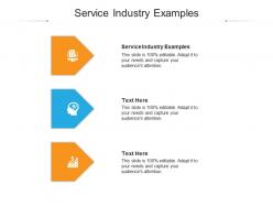 Service industry examples ppt powerpoint presentation pictures slide cpb