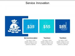 Service innovation ppt powerpoint presentation infographics shapes cpb