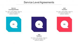 Service Level Agreements Ppt Powerpoint Presentation Professional Graphic Cpb