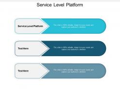 Service level platform ppt powerpoint presentation styles example introduction cpb