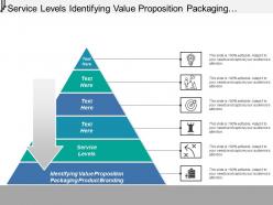 Service levels identifying value proposition packaging product branding
