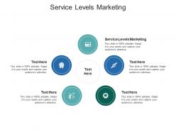 Service levels marketing ppt powerpoint presentation infographic template graphics example cpb