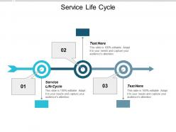 Service life cycle ppt powerpoint presentation infographics images cpb
