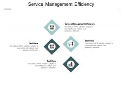 Service management efficiency ppt powerpoint presentation gallery outline cpb